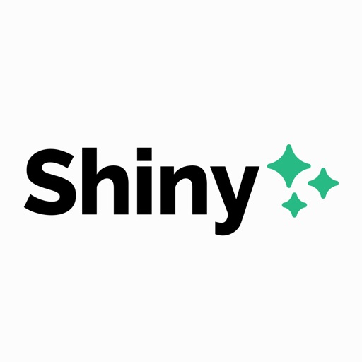 Shiny app icon